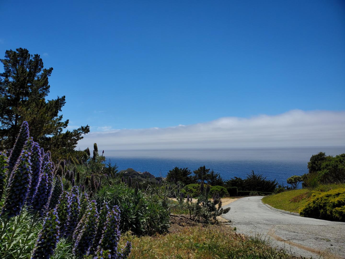36496 Weston Ridge Road Carmel, CA 93923 - Photo 64 of 66 Gallery Image 64
