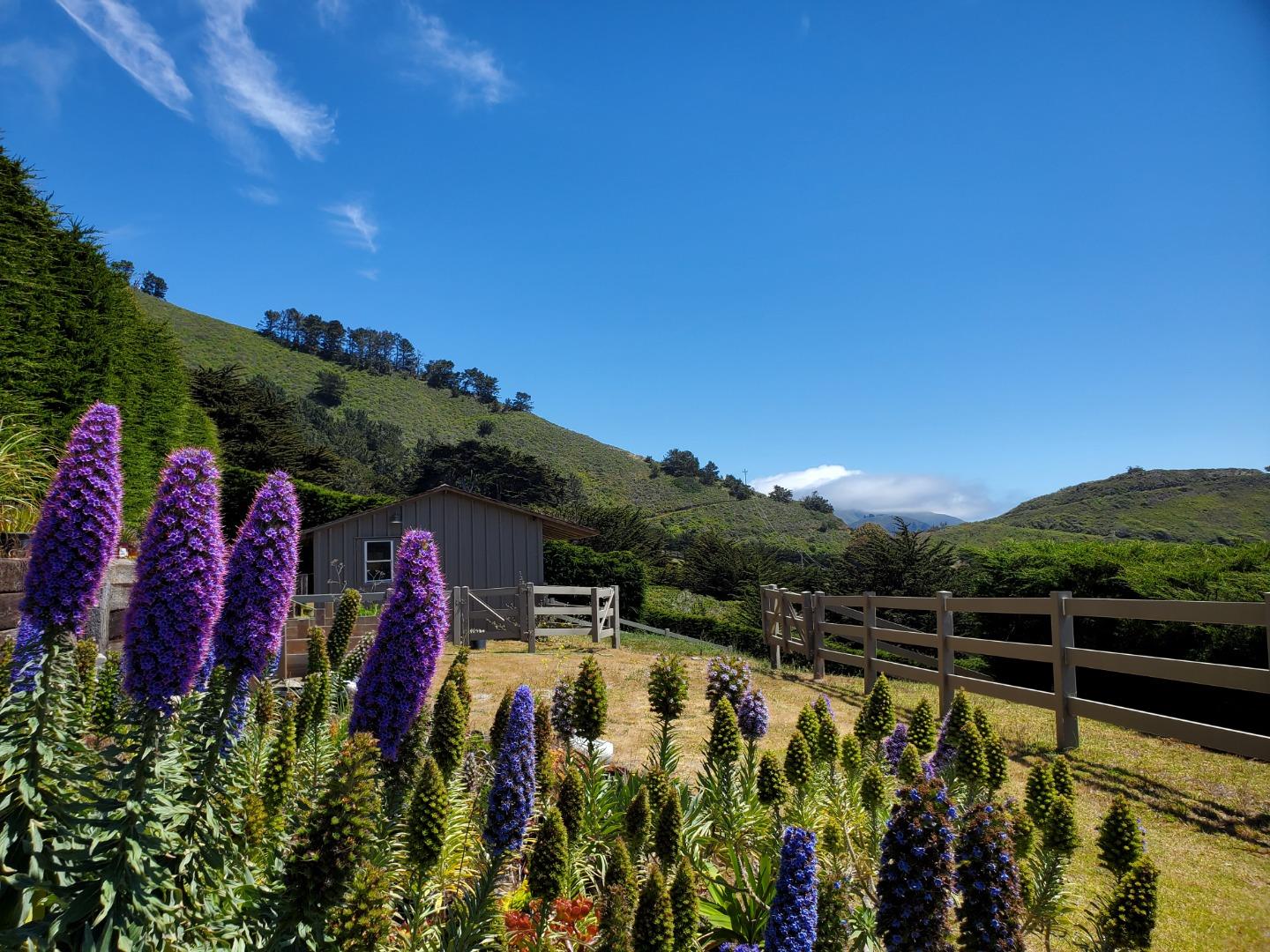 36496 Weston Ridge Road Carmel, CA 93923 - Photo 66 of 66 Gallery Image 66