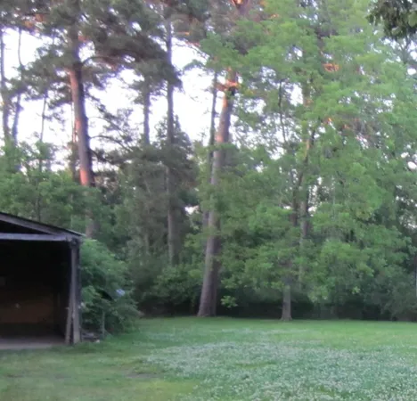 a view of outdoor area with green space