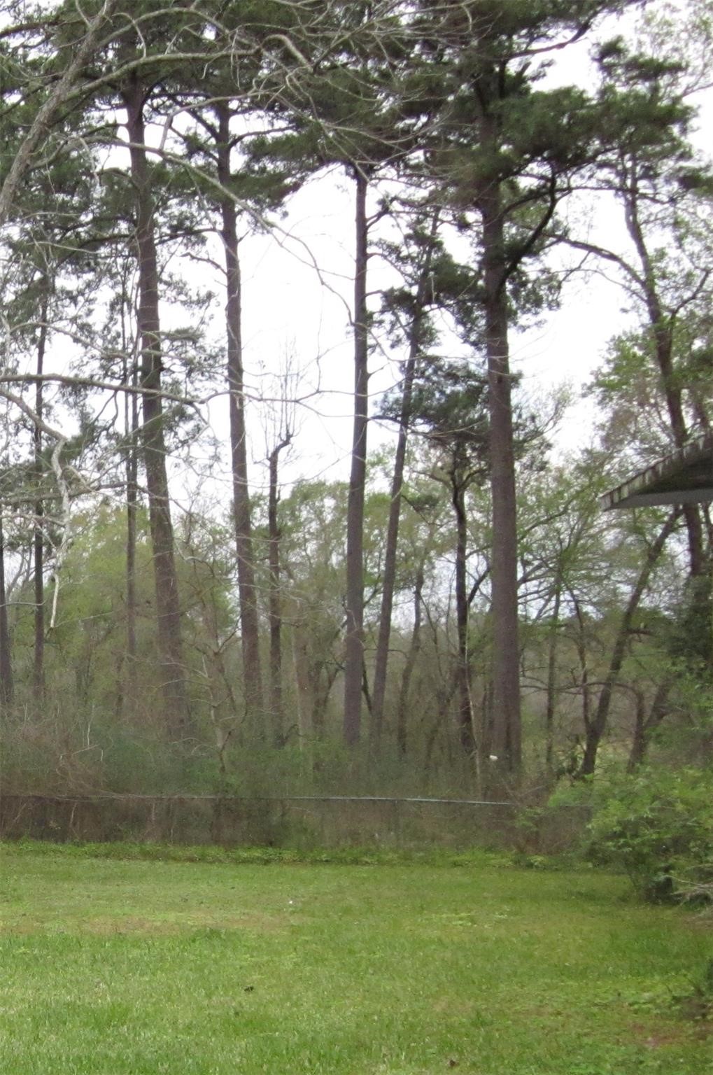 4018 East Mossy Oaks Road Spring, TX 77389 - Photo 9 of 17 a view of outdoor area with green space