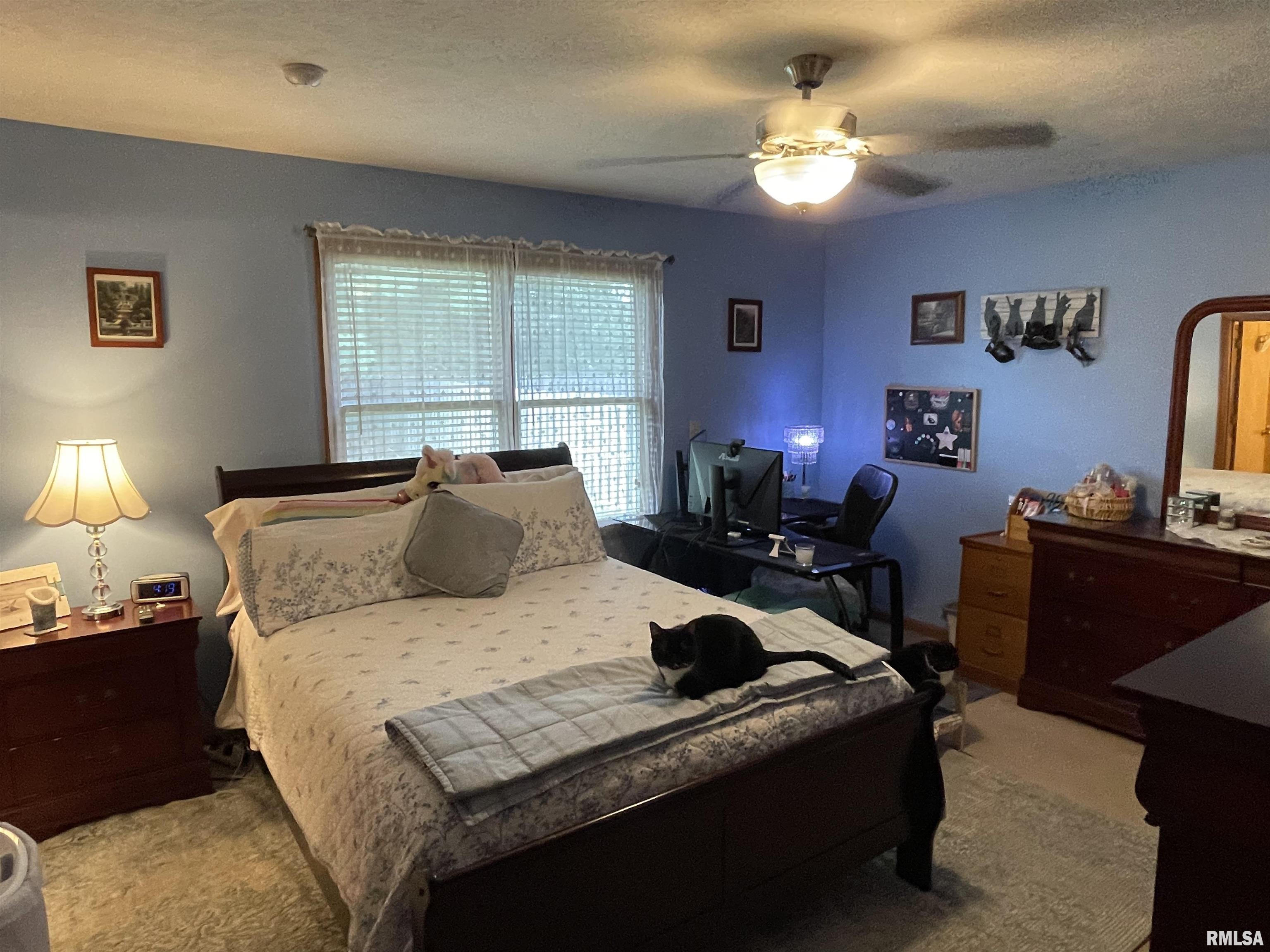 1213 Dani Lane Springfield, IL 62712 - Photo 17 of 22 Gallery Image 17