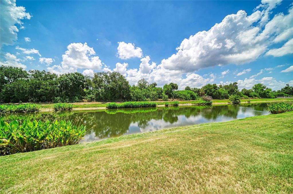 316 Star Shell Drive Apollo Beach, FL 33572 - Photo 48 of 57