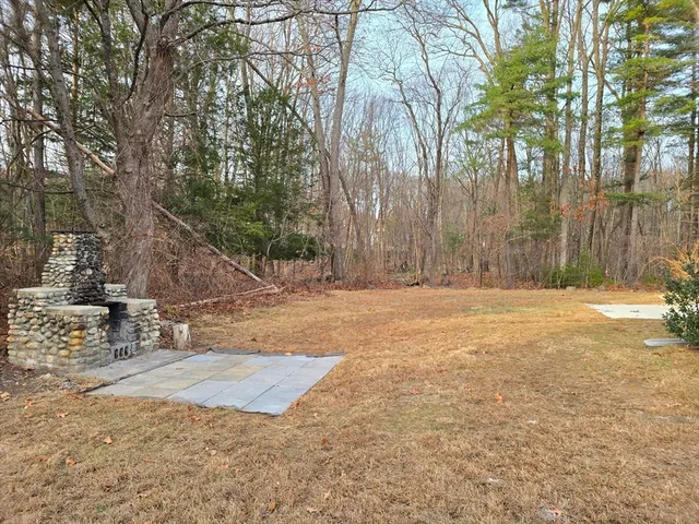 a view of a backyard with large trees