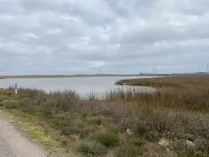 a view of a lake with lots of trees