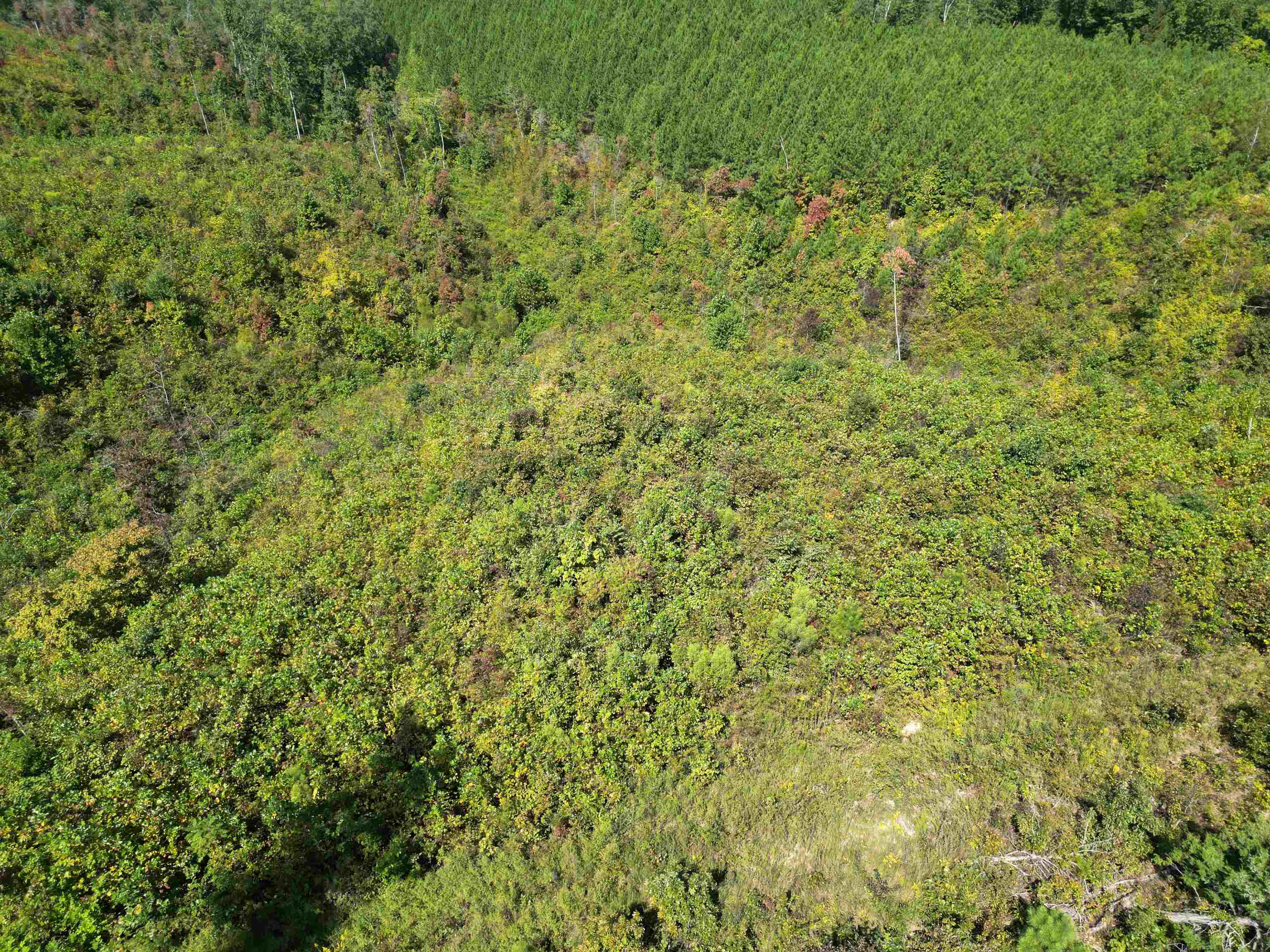 2 Toll Hollow Road Waynesboro, TN 38485 - Photo 8 of 14 View of property location