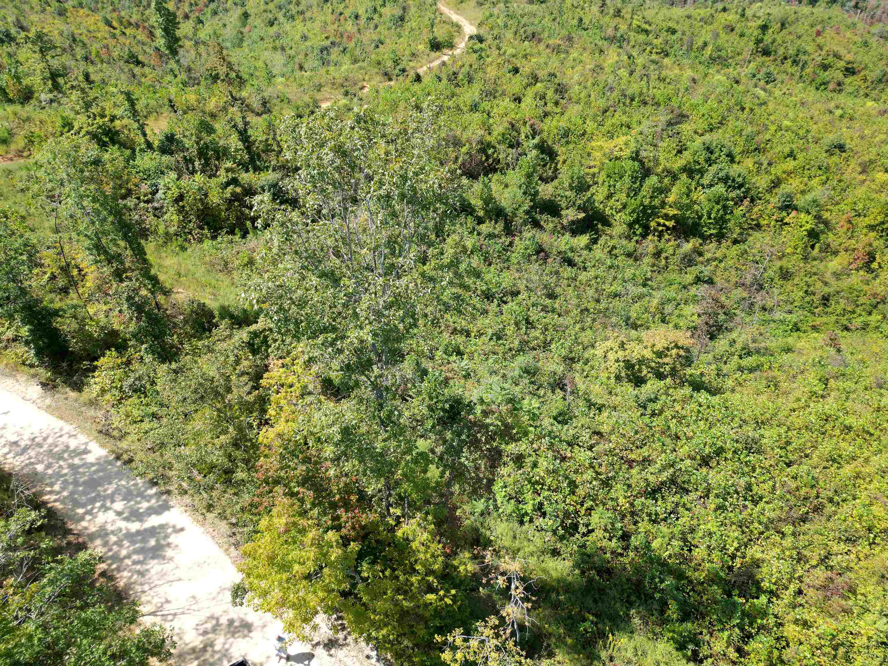 2 Toll Hollow Road Waynesboro, TN 38485 - Photo 9 of 14 Aerial view of property's location