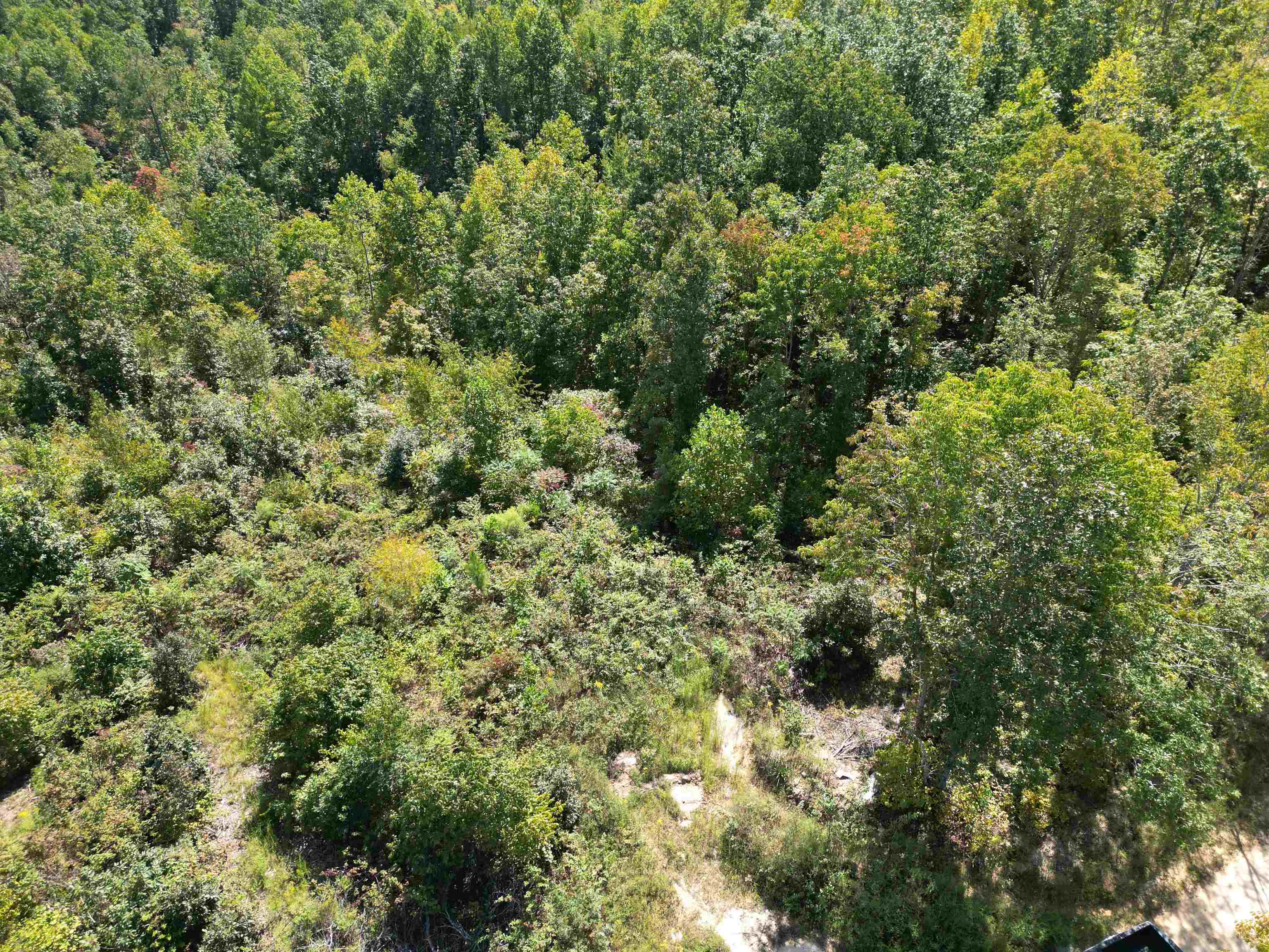 2 Toll Hollow Road Waynesboro, TN 38485 - Photo 10 of 14 Aerial overview of property's location