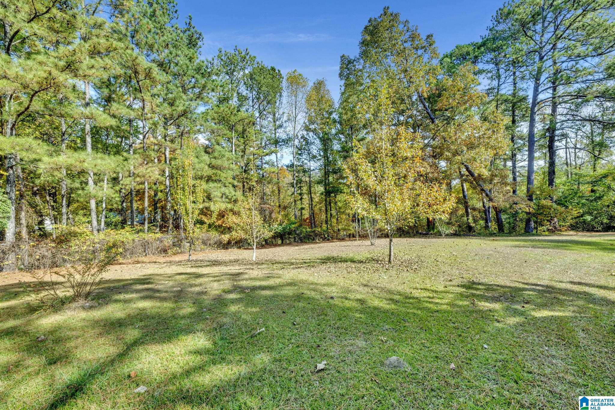 1620 Chaley Springs Road Hayden, AL 35079 - Photo 20 of 32
