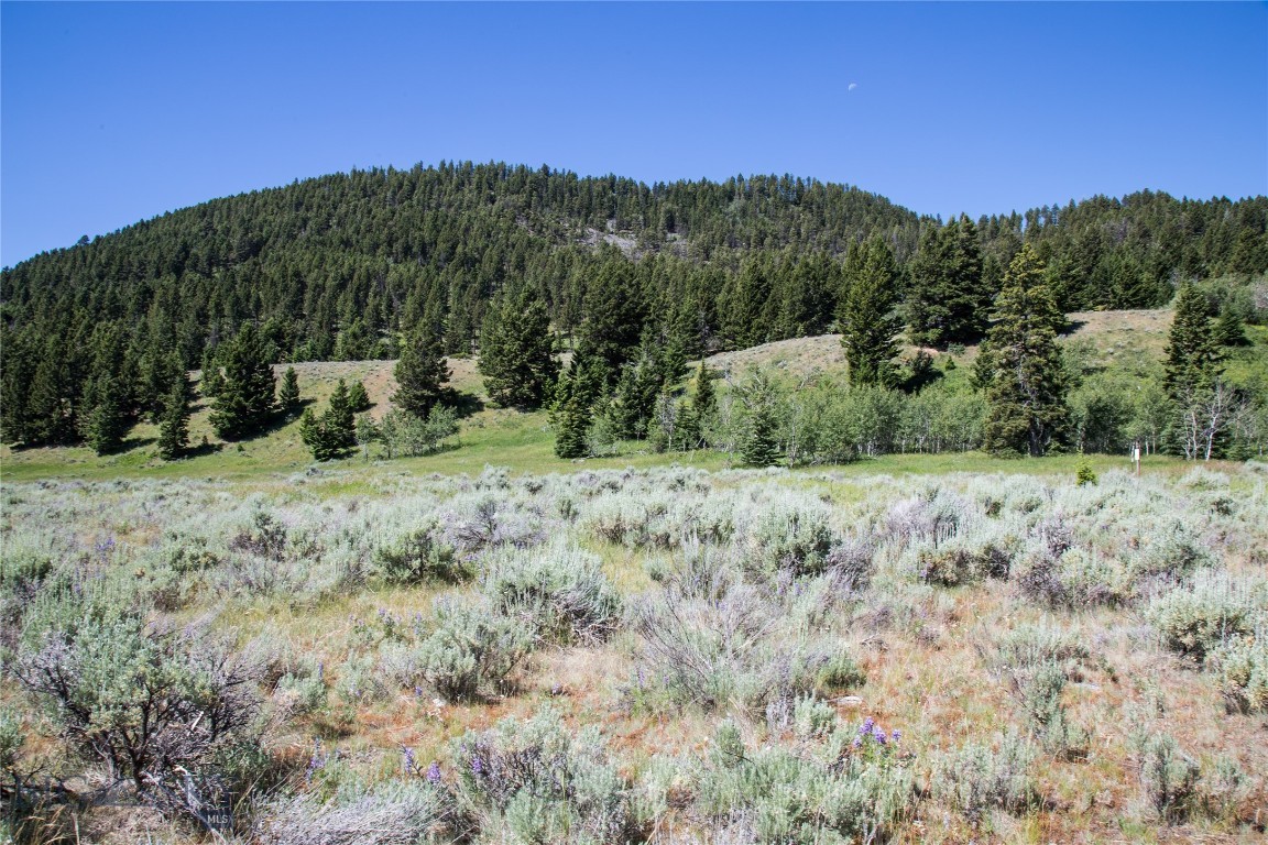 Lot 13 Sun West Ranch Cameron, MT 59720 - Photo 20 of 34 Gallery Image 20