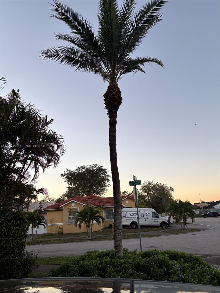15448 Southwest 92nd Street Miami, FL 33196 - Photo 35 of 36 a view of a yard with plants