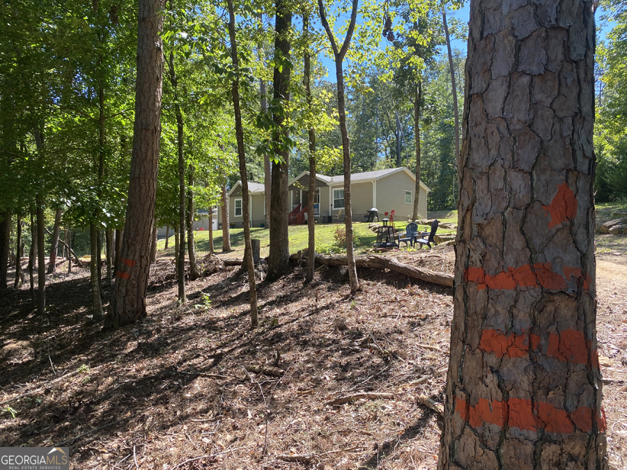 347 River Trail Martin, GA 30557 - Photo 25 of 29 a view of a yard with plants and large trees