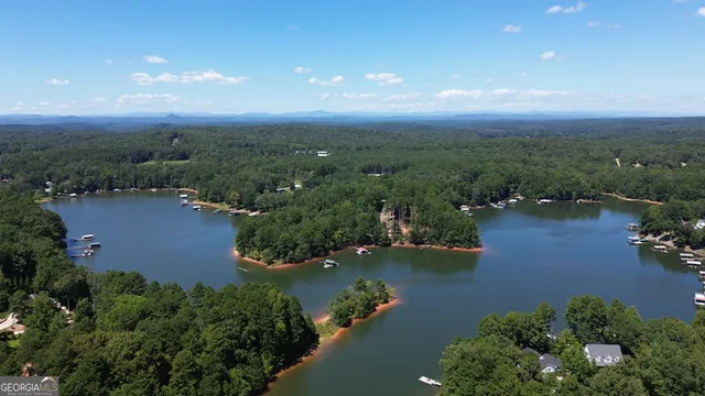 a view of a lake with a large trees