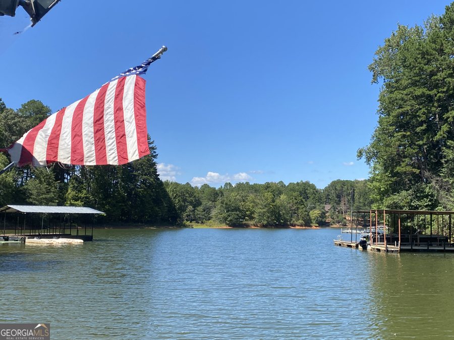347 River Trail Martin, GA 30557 - Photo 29 of 29 a view of a lake with a large trees