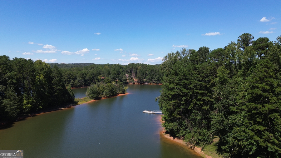 347 River Trail Martin, GA 30557 - Photo 10 of 29