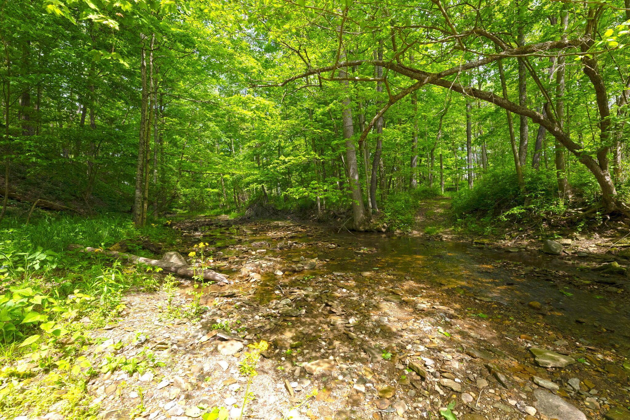 9777 Old Delaware Road Mount Vernon, OH 43050 - Photo 39 of 87 35-web-or-mls-9777OldDelawareRoadExt_Hom