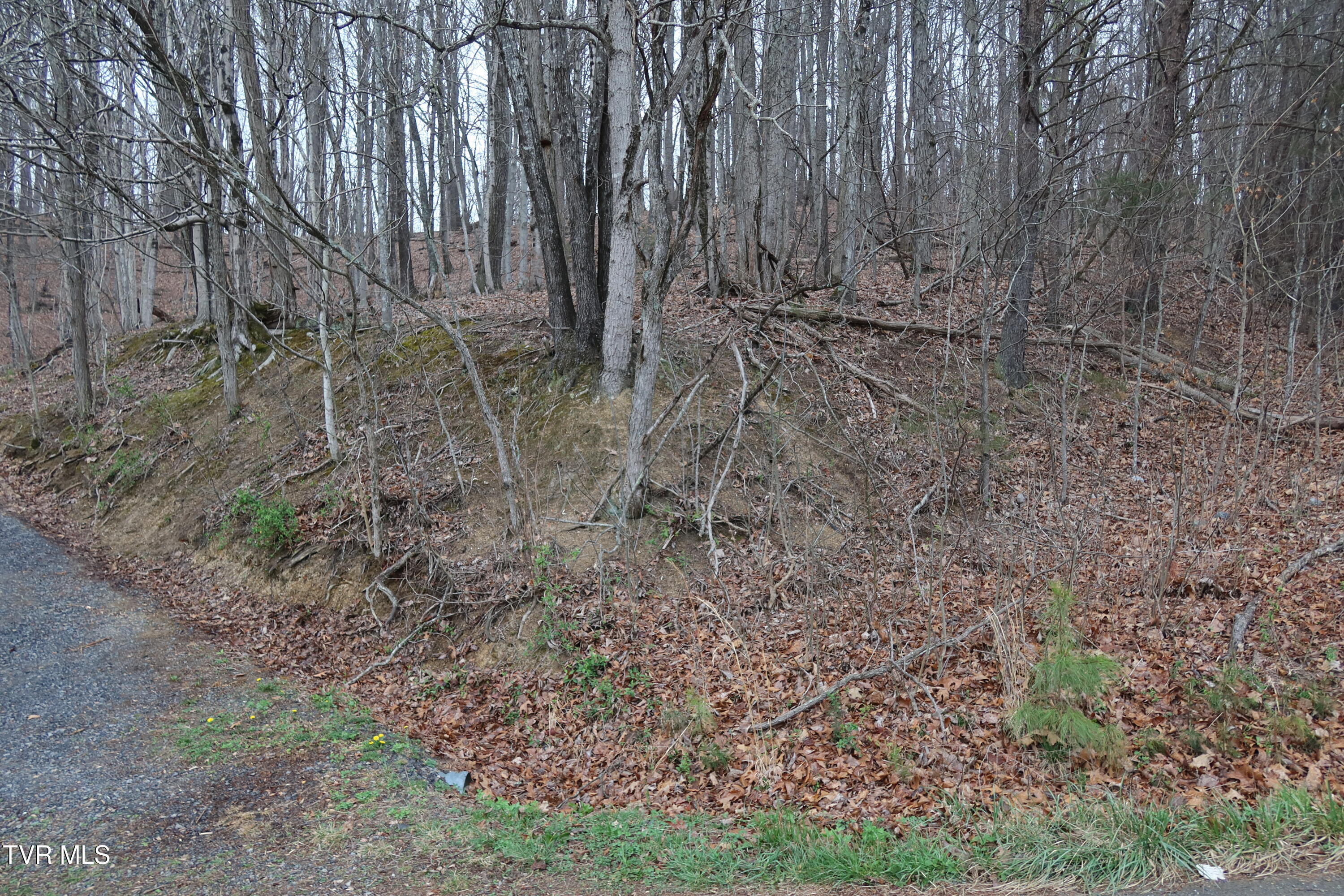 Tbd Possum Hollow Road, Unit 5 Johnson City, TN 37615 - Photo 6 of 8 IMG_8414
