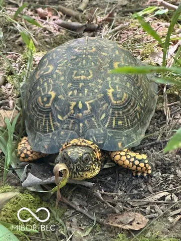 $299,900 | 489 Jada Lane, Mooresville, IN 46158