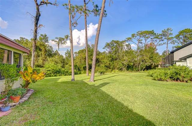 a view of a backyard