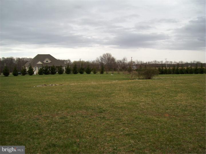 44 Parvin Mill Road Bridgeton, NJ 08302 - Photo 22 of 24 Back Yard