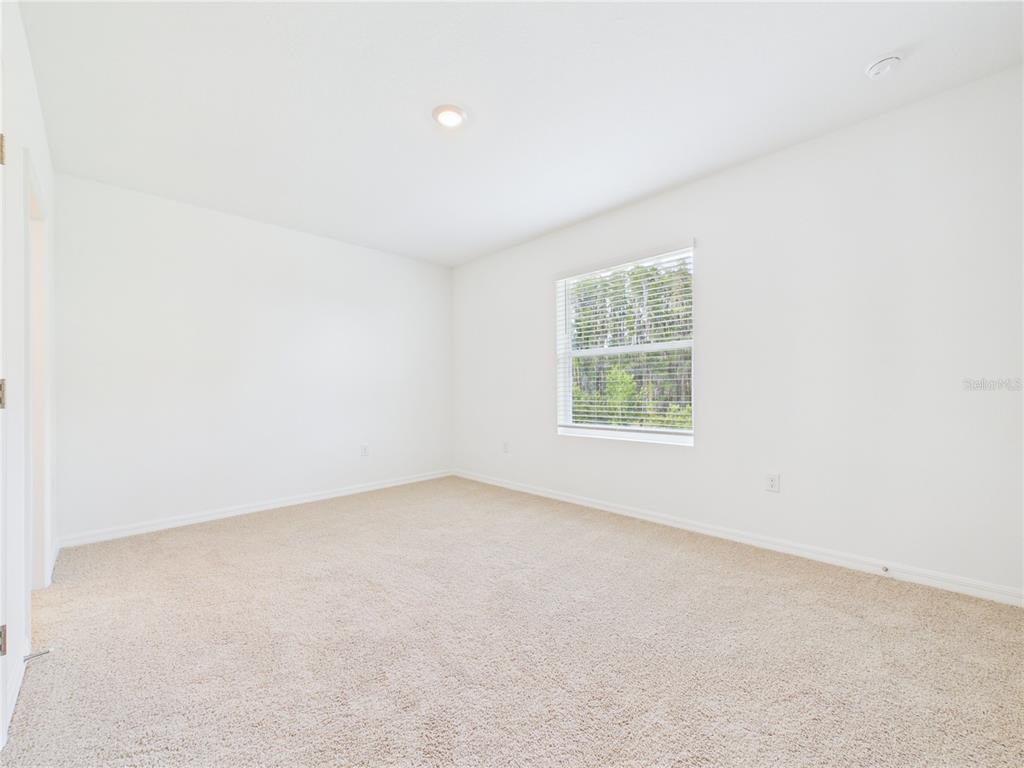 32519 Welling Blade Loop Wesley Chapel, FL 33545 - Photo 9 of 87
