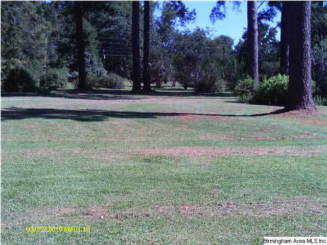 5343 Highway 16 Montevallo Al Montevallo, AL 35115 - Photo 2 of 8