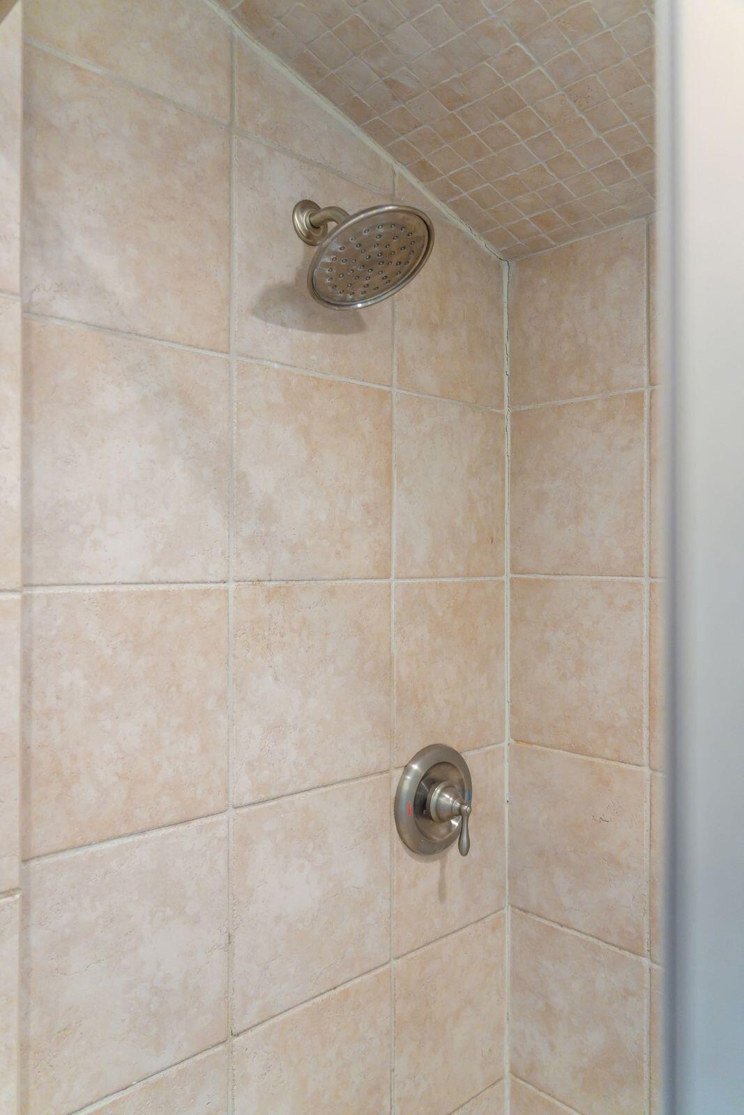1540 Fort Johnson Road Charleston, SC 29412 - Photo 29 of 45 Bathroom 1 shower