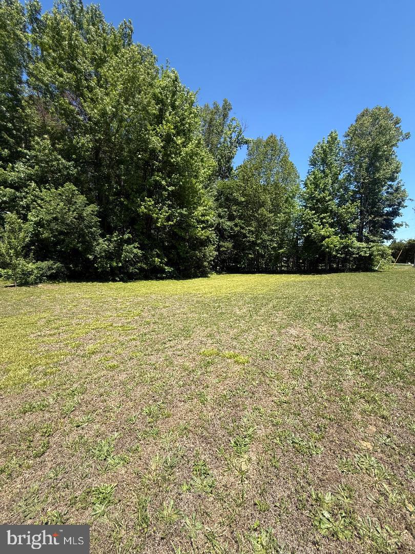 2278 Cartersville Road Mineral, VA 23117 - Photo 2 of 2