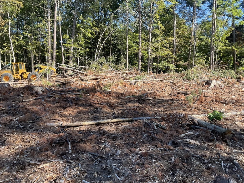 Lot 57 Whiteloaf Road Southampton, MA 01073 - Photo 12 of 13 a view of road with trees