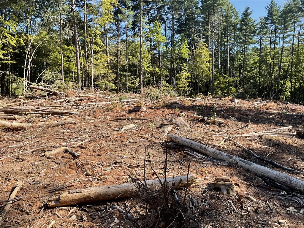 Lot 57 Whiteloaf Road Southampton, MA 01073 - Photo 13 of 13 a view of a forest with trees