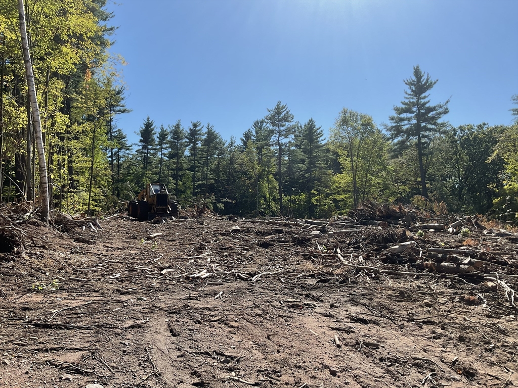 Lot 57 Whiteloaf Road Southampton, MA 01073 - Photo 4 of 13 a view of a yard with a tree