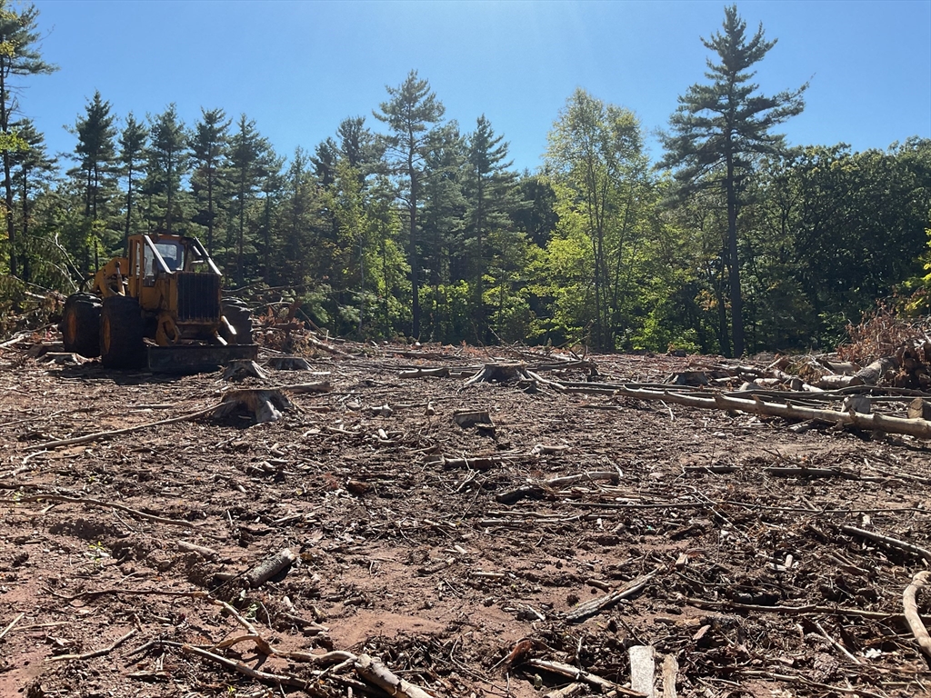 Lot 57 Whiteloaf Road Southampton, MA 01073 - Photo 5 of 13 a view of a yard with a tree