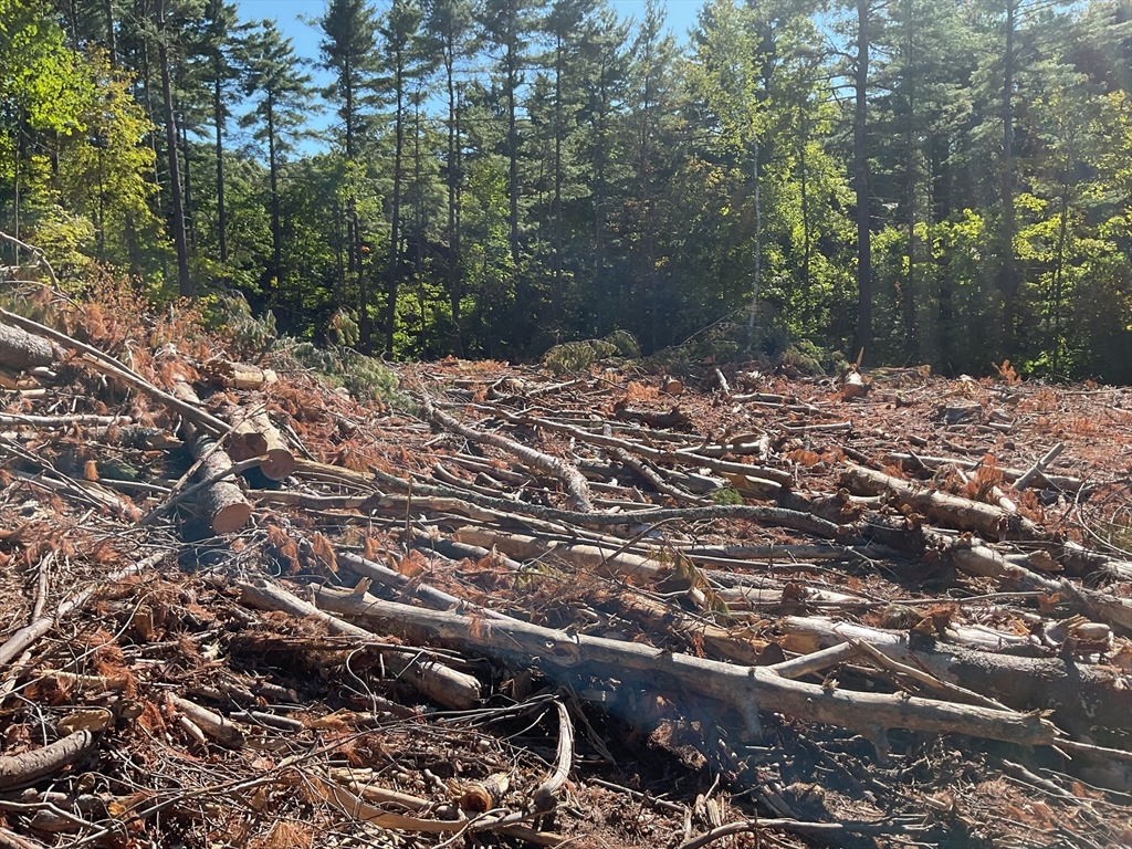 Lot 57 Whiteloaf Road Southampton, MA 01073 - Photo 7 of 13 a view of a yard with plants and trees