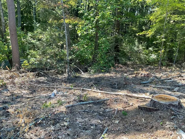 a view of outdoor space with trees