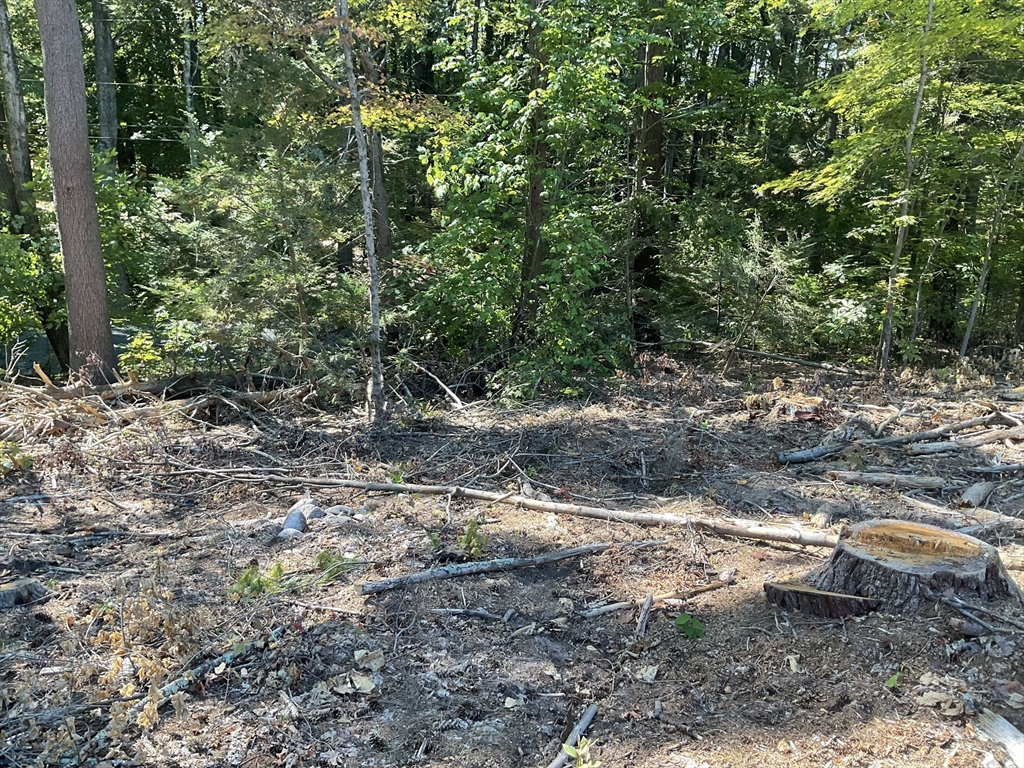 Lot 57 Whiteloaf Road Southampton, MA 01073 - Photo 9 of 13 a view of a forest with trees