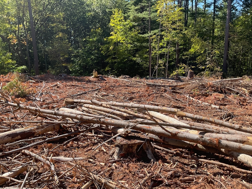 Lot 57 Whiteloaf Road Southampton, MA 01073 - Photo 10 of 13 a view of outdoor space with trees
