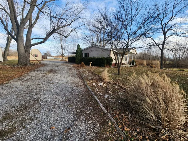 a road view with large trees