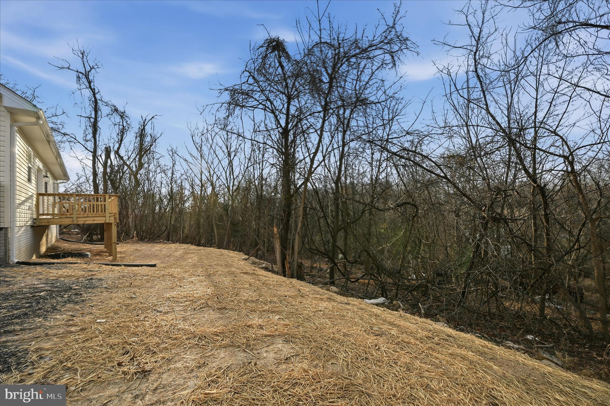 985 Hostler Road Harpers Ferry, WV 25425 - Photo 33 of 51 Backyard