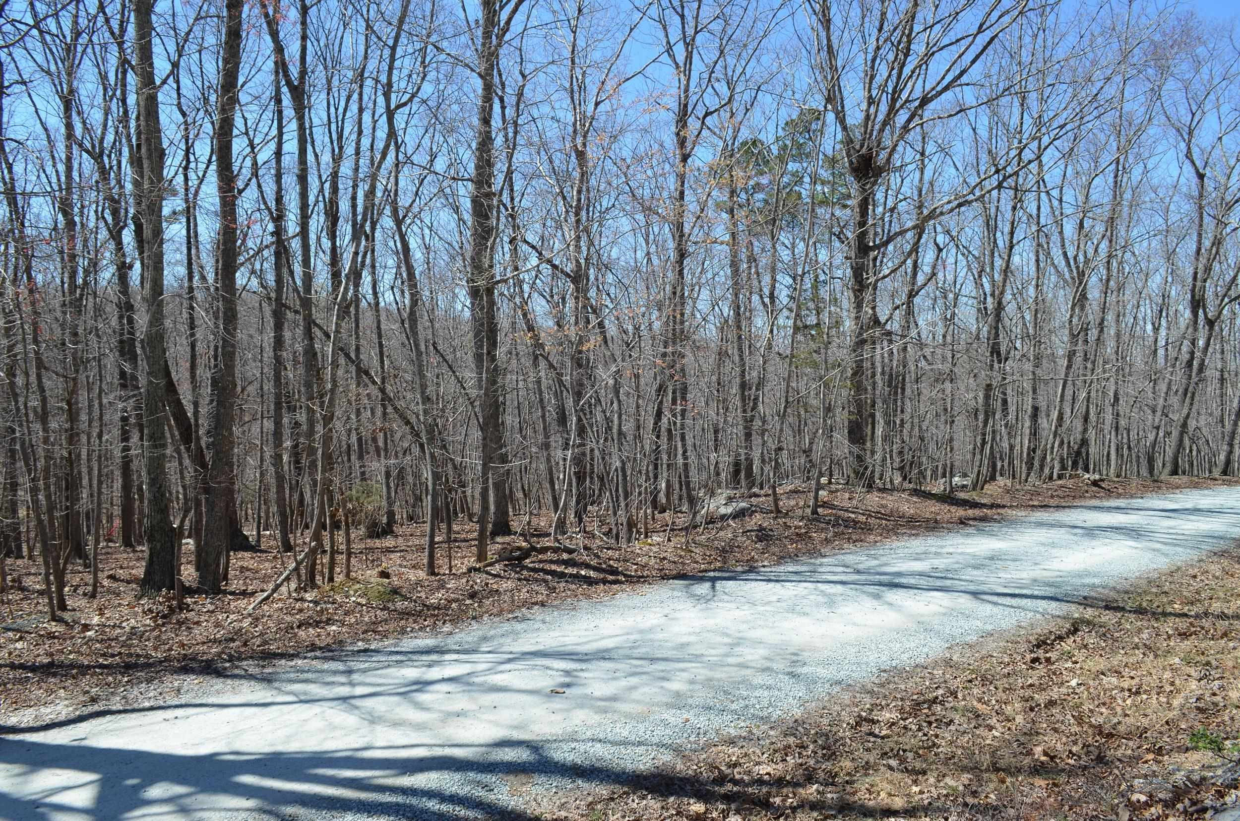 2 Fire Tower Drive Rougemont, NC 27572 - Photo 1 of 7 Photo 1