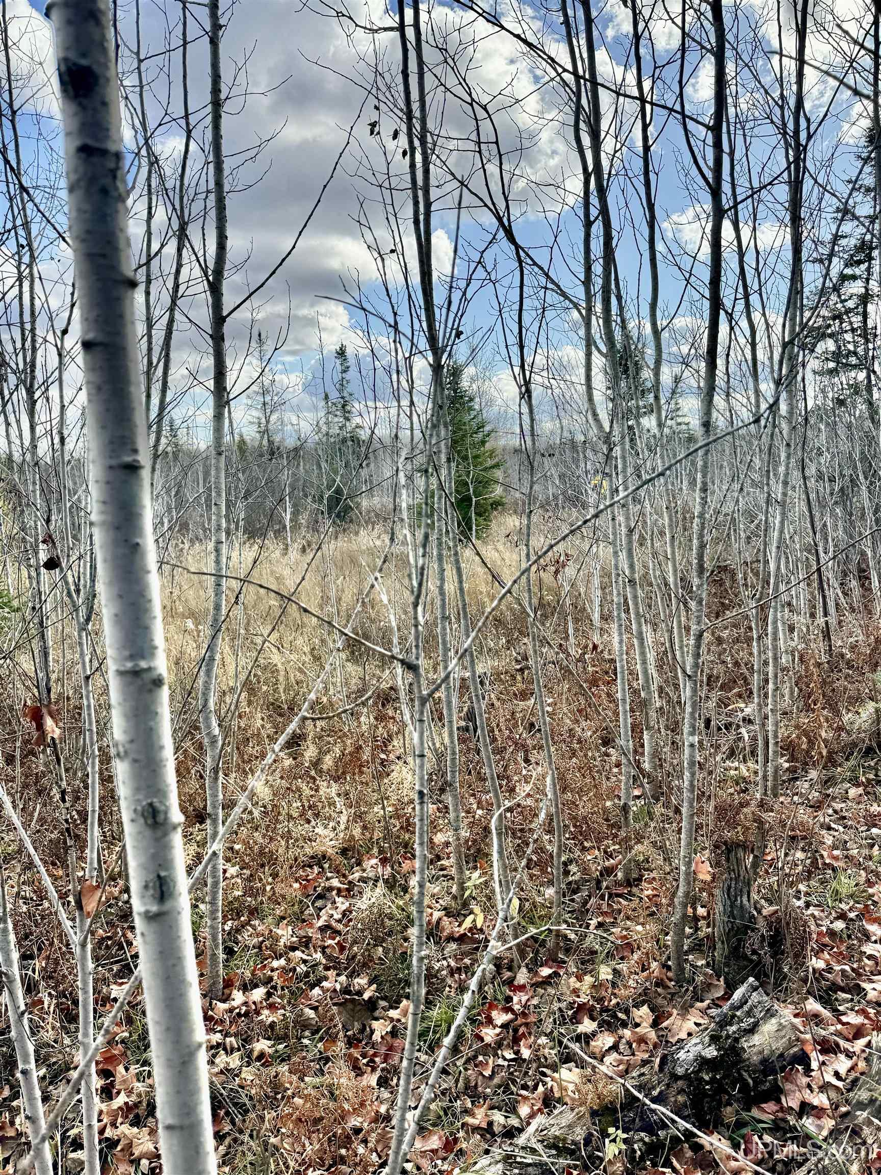 27.5 Rd 28 Acres Trail Gladstone, MI 49837 - Photo 12 of 24