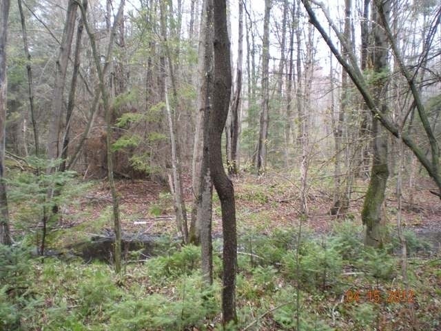 On Popple Road Antigo, WI 54409 - Photo 10 of 18 Gallery Image 10