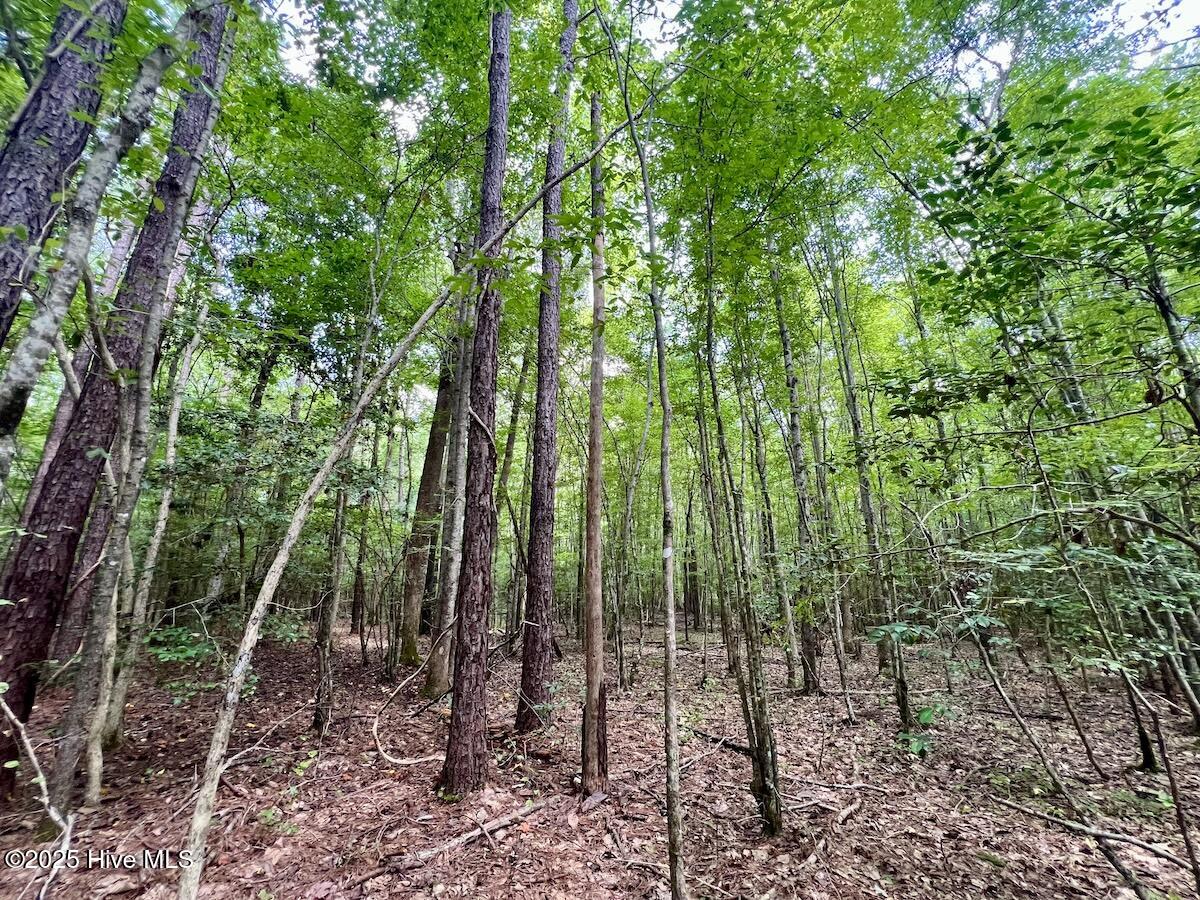 1596 Middle Swamp Road Corapeake, NC 27926 - Photo 54 of 61 54