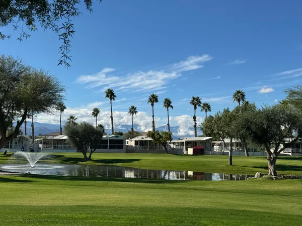 a view of a park with lots of palm trees