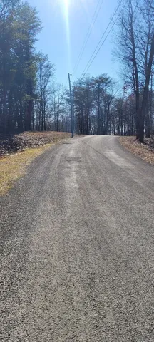a view of a yard with trees