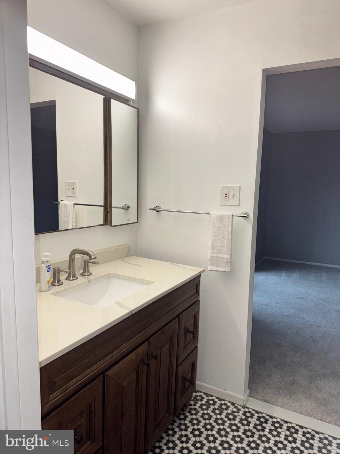 6703 Greenview Lane Springfield, VA 22152 - Photo 21 of 41 a bathroom with a sink vanity and a mirror