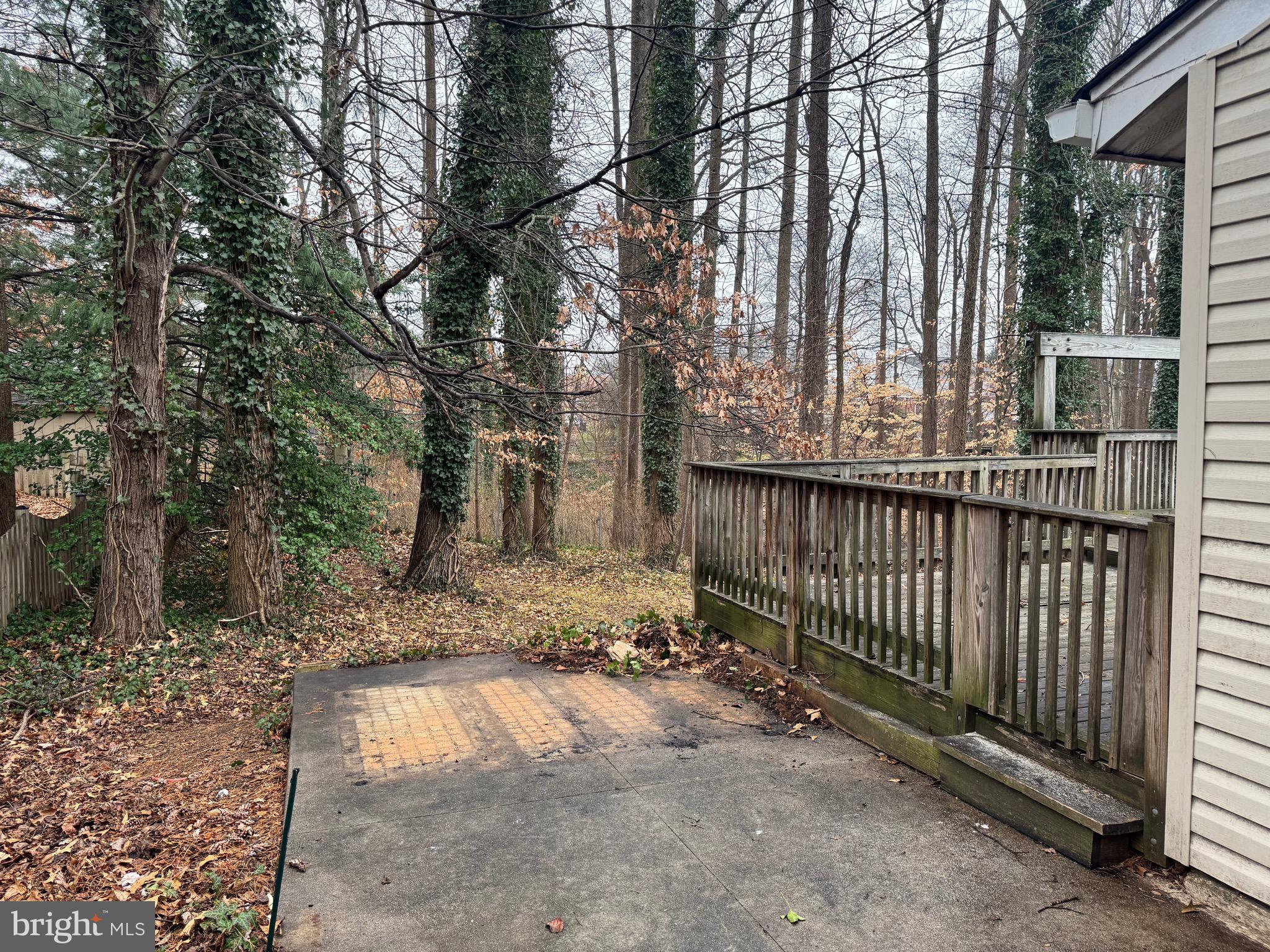 6703 Greenview Lane Springfield, VA 22152 - Photo 41 of 41 a view of a backyard with large trees