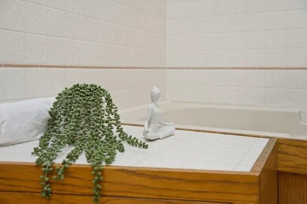 a bathroom with a bathtub and shower
