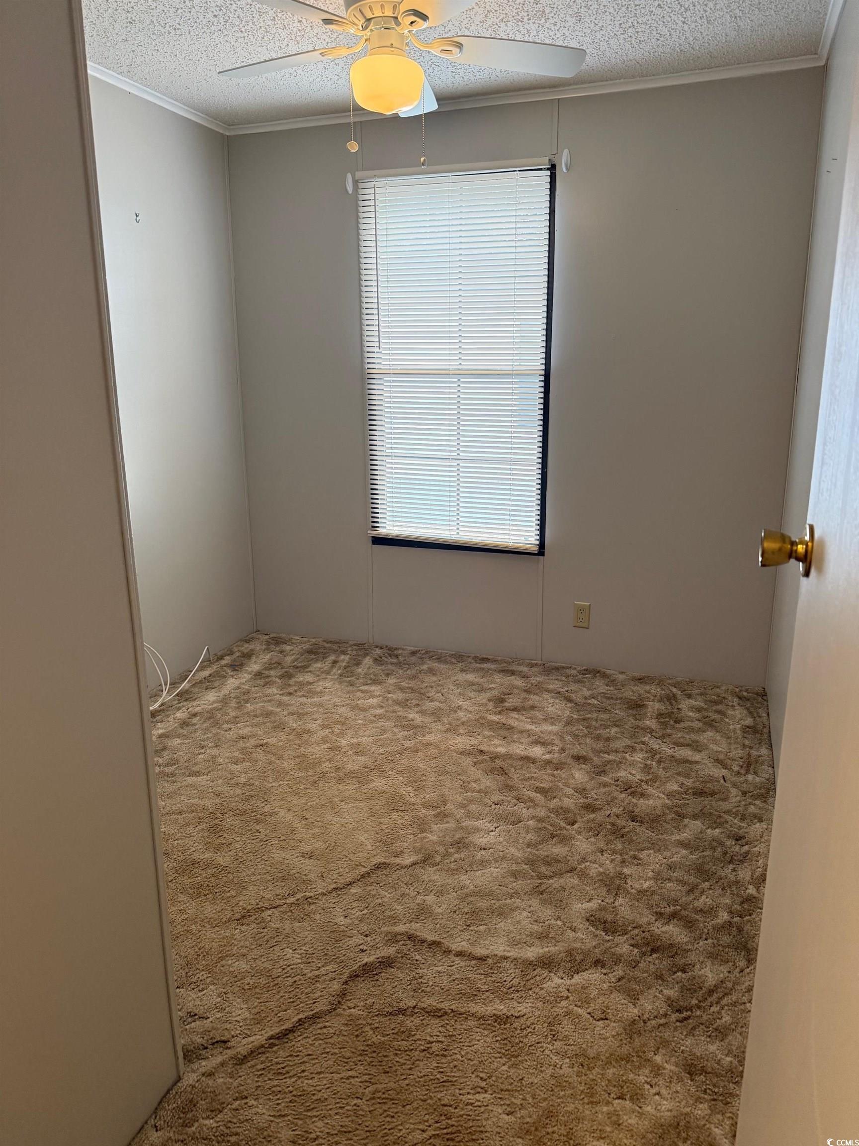 159 Crooked Island Circle Murrells Inlet, SC 29576 - Photo 11 of 20 Carpeted spare room with a textured ceiling, ornamental molding, and a ceiling fan