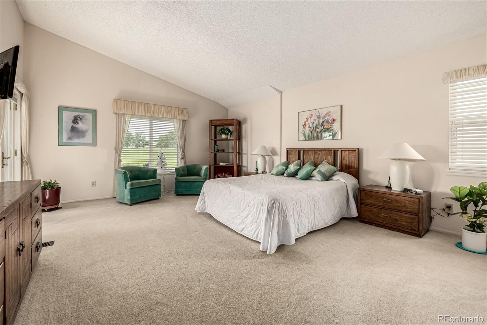 34 Sutherland Court Highlands Ranch, CO 80130 - Photo 20 of 47 Gallery Image 20