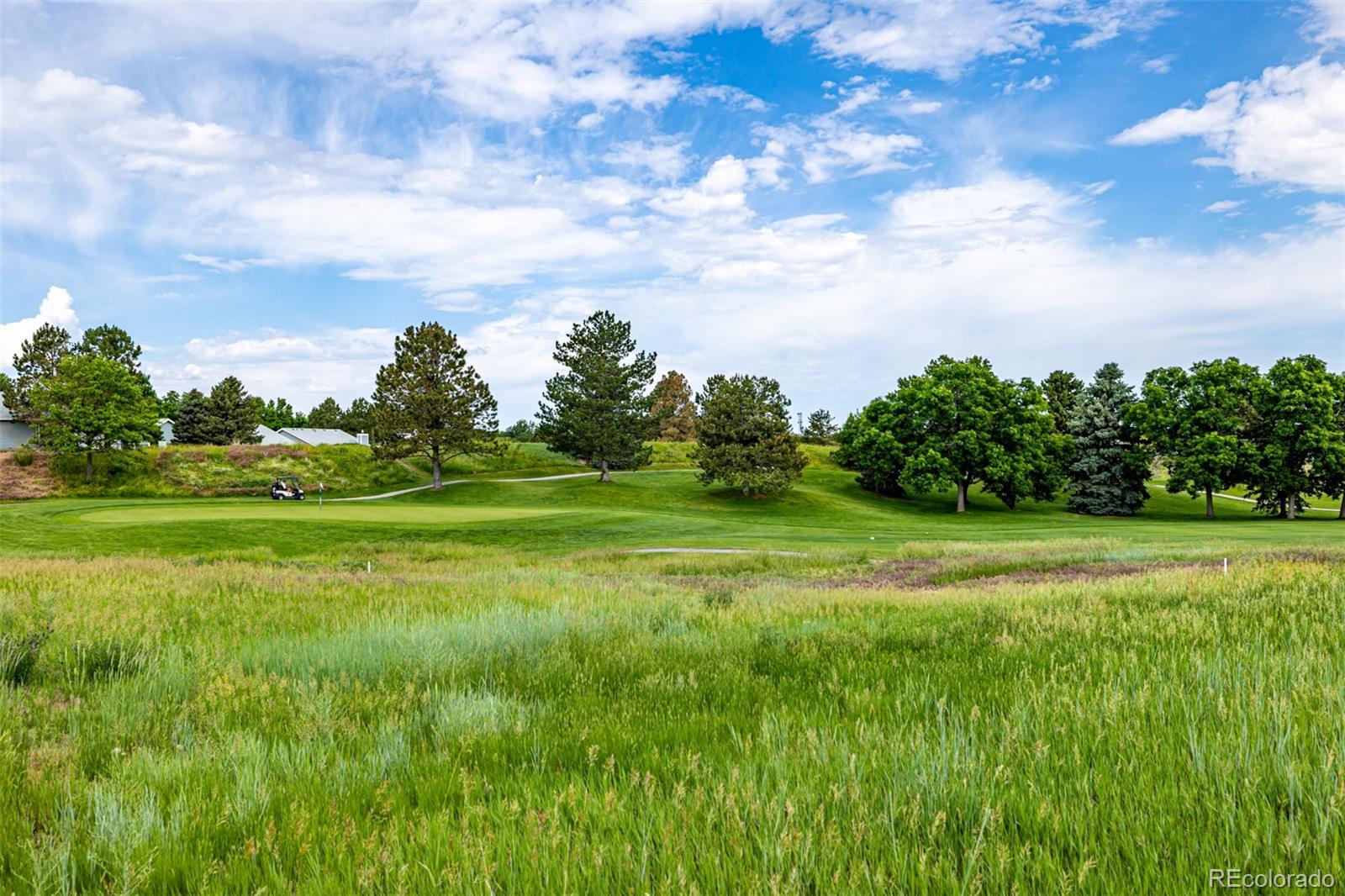 34 Sutherland Court Highlands Ranch, CO 80130 - Photo 40 of 47 Gallery Image 40
