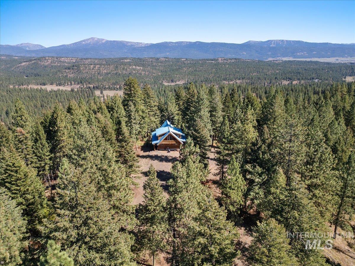 3725 Rim Road New Meadows, ID 83654 - Photo 11 of 50 Aerial view of property and surrounding area featuring a heavily wooded area and a mountain backdrop